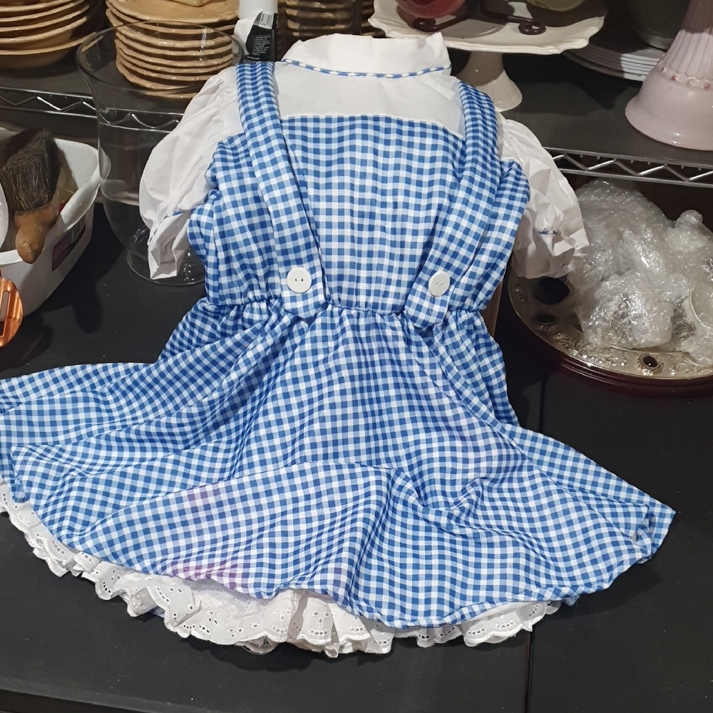 Adorable Blue Checkered Dress with White Details